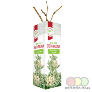 Саженцы декоративных кустарников ВЕСНА Дерен